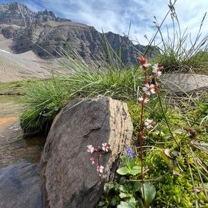 Meet your Posher, Beverly